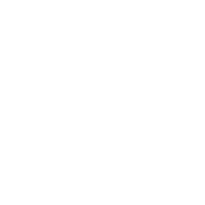 Disability Transportation Menu Option